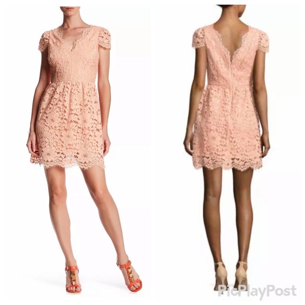NWT Erin Fetherston Alicia Lace Dress
